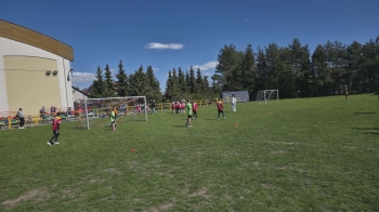 55832641-1046-4864-a6d2-d8f186a3c846