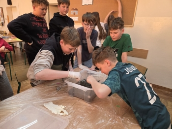 b81c9273-02d7-495a-92dc-950a0a7a802d