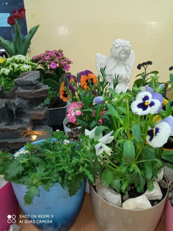 0f129bc2-9346-44a5-bbbb-fc40bae348ee