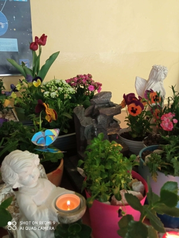 b756cd3b-e13a-4266-a5c1-2ed40e4176ce