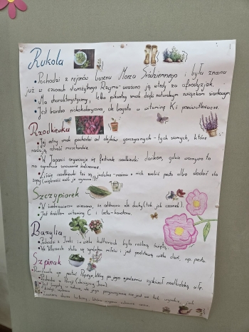 4aa24d1a-cb1b-4d1e-ae65-b6ae22df6167