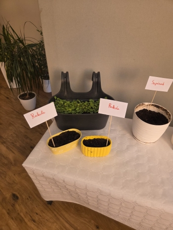 5d6fae3d-f610-407d-bcd2-7c0b3527de89