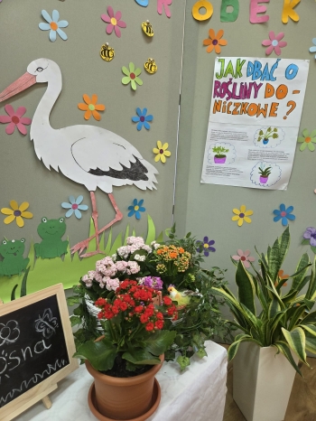 37fb9744-8558-4831-9d54-19a89e11ca53