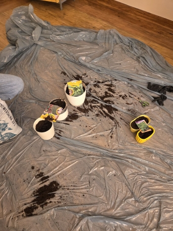 c70a8631-5a9a-4f36-baf2-03d0c7496de6