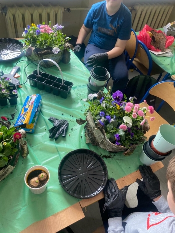 264d133b-0644-442b-aa6f-ee433b7a8c84