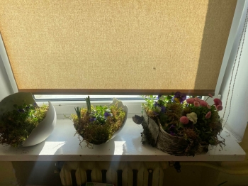 b7d1367d-3b99-4ee1-8104-0f47d3e18b8a