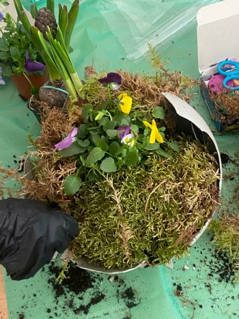 b201b2d0-8c58-4e5e-a6c6-219b15cee428