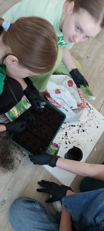 86bc51e3-7f1d-4f38-b867-59afe5a4712d