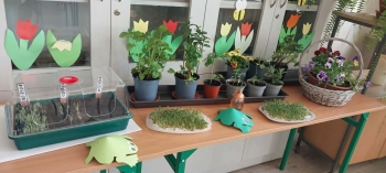 ba6e5fdf-923e-4f05-9c2b-db98890ce6fe