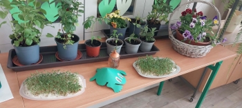 cdb8a83f-568b-46b6-803a-634342092dc3