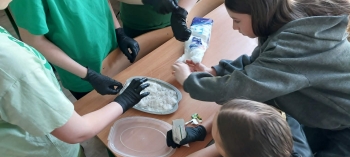 ef77a2ea-b8b0-4f06-a898-71229bc4f321