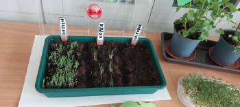 f3ba03db-1069-46b0-89c4-23c1a93da7c7