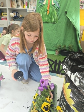 6d343303-96cd-47fd-a626-1b2321655d8d