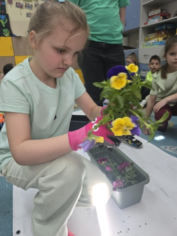 51d52ac2-ba22-4cb4-9f0b-c1d5590c5cc8