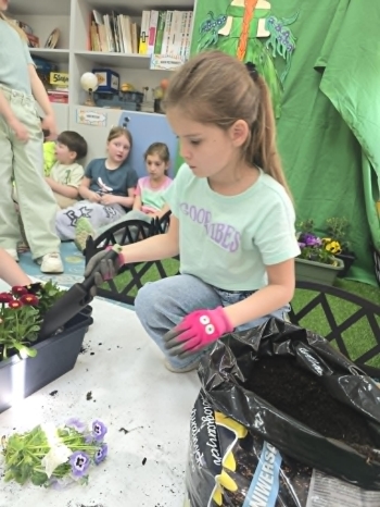 72d50c73-b7bc-4c44-81bf-74edbb571893