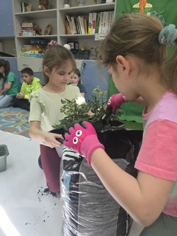 7083b12a-4b8c-4325-b2e5-e127fbba21f1