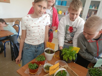 6b1a7849-aa4b-4e69-9fab-b53a65fe3164