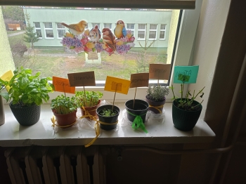 b7431988-fb72-44fe-a592-fb7b17909c90