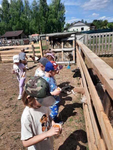 ,,Stokrotki'' i ,,Krasnale'' wyruszyły na wycieczkę do gospodarstwa „Alpaki i in...