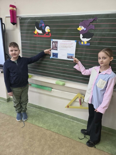 Ciekawostki o pingwinach