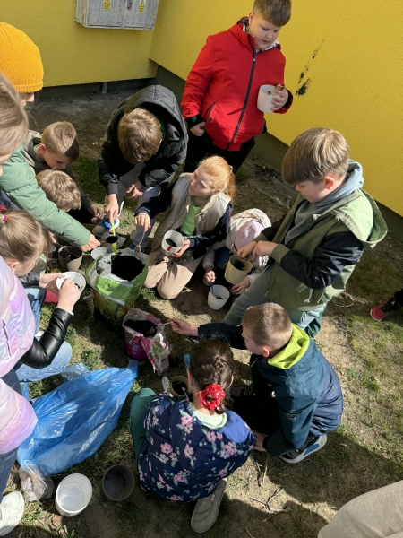 Uczniowie z klasy IIIc z okazji Dnia Ziemi postanowili posadzić cebulki kwiatów. Zobowiąza