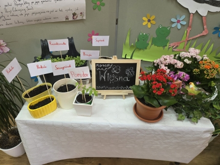 Uczniowie klas VI a i VI c zamienili swoją salę w prawdziwie wiosenną przestrzeń, tworząc 